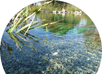 Aménagement de piscine écologique, naturelle, biologique dans le Ternois