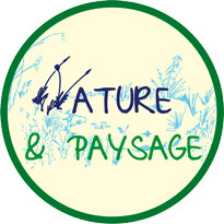 Logo Nature & Paysage, aménagements paysager et extérieurs